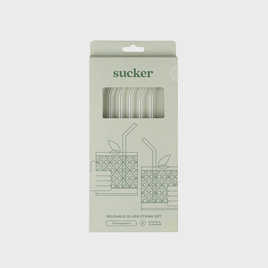 Reusable Glass Drinking Straws - Transparent